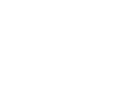 studioMarguareis